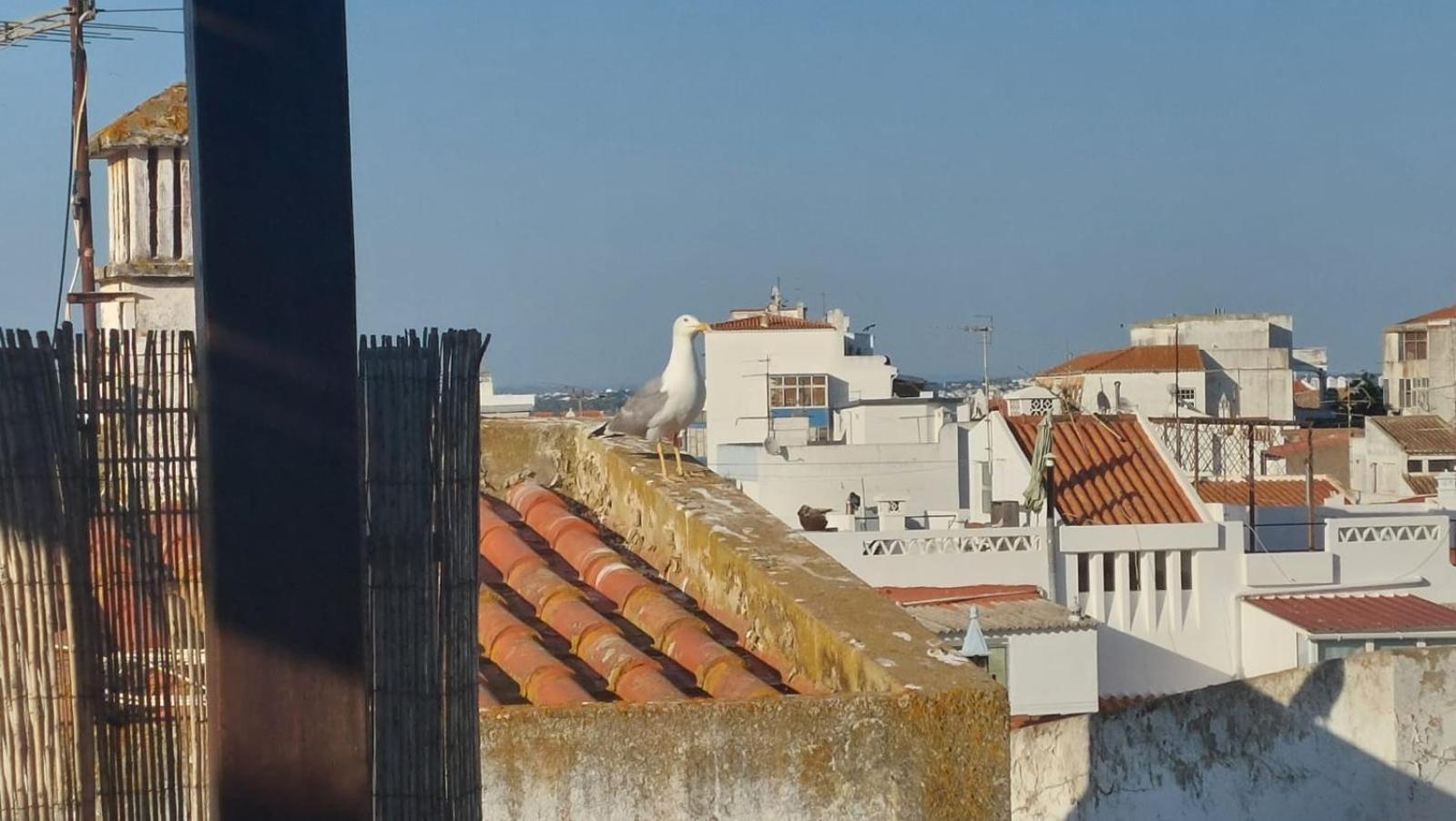 Apartmán O Pescador Lagos Exteriér fotografie
